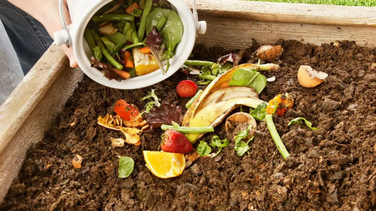 Il compost fai-da-te: come trasformare gli scarti della cucina in fertilizzante per il tuo orto