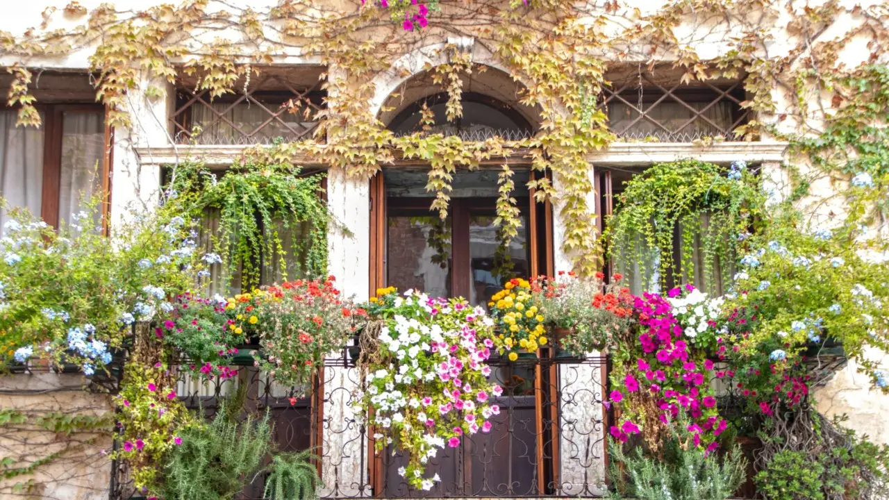 Come creare un orto sul balcone in 5 semplici mosse (anche se non hai il pollice verde)