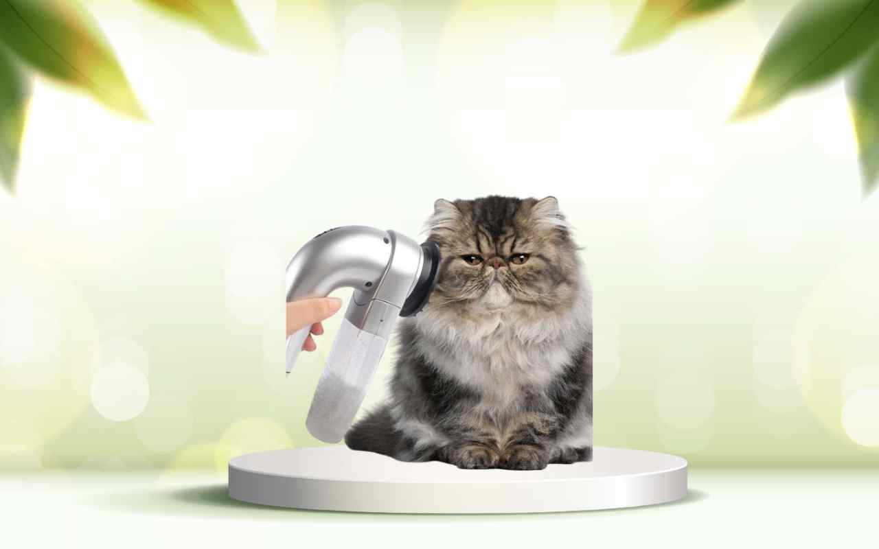 SpazzolAmica: elimina subito i peli degli animali e rendi la casa impeccabile